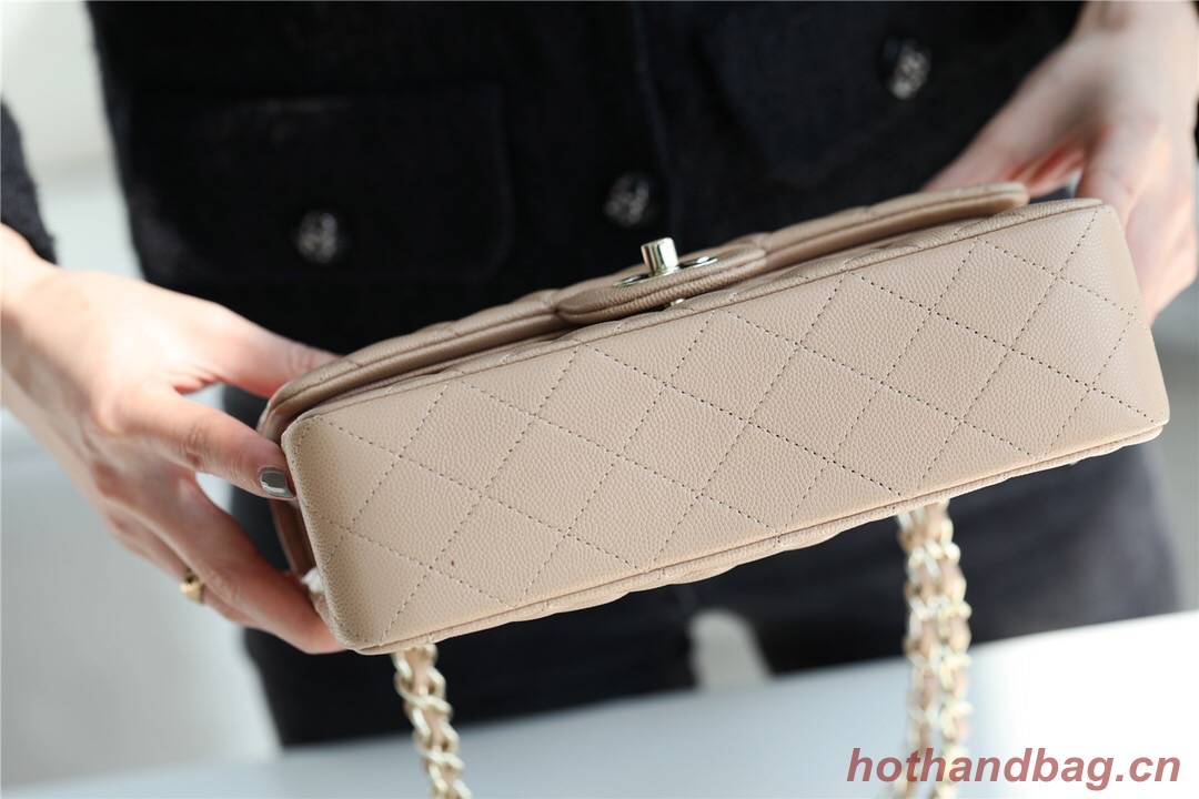 Chanel Small Classic Handbag Grained Calfskin & silver-Tone Metal A01113 Apricot