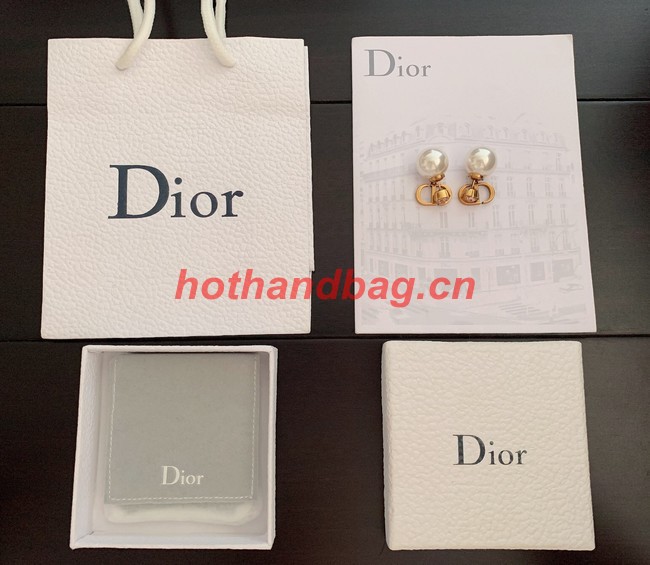 Dior Earrings CE10808