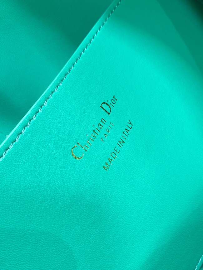 Dioriviera Medium Dior Nolita Bag Calfskin M2312UBGQ green