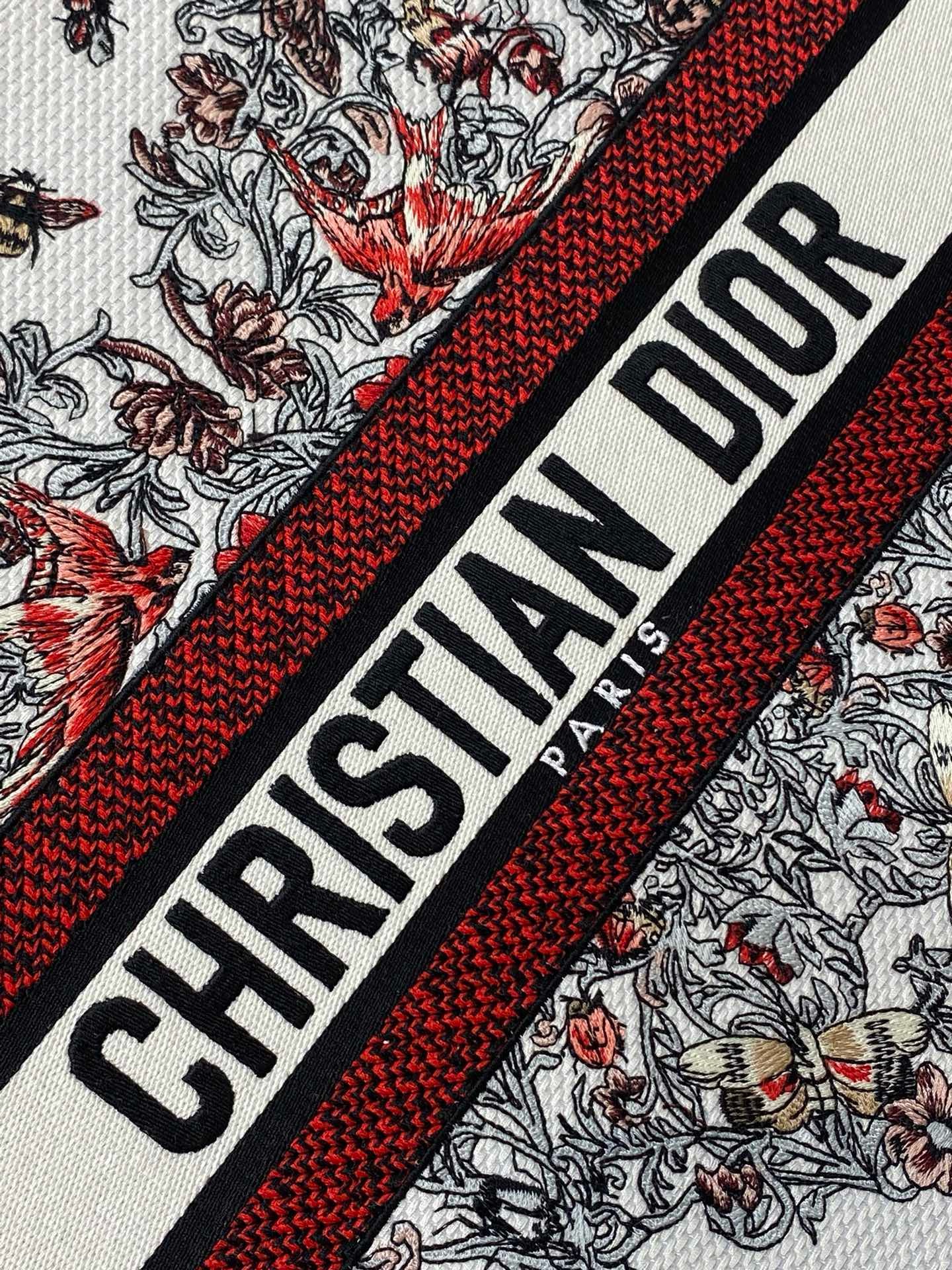 Large Dior Book Tote Embroidery with Multicolor M1286ZEDX