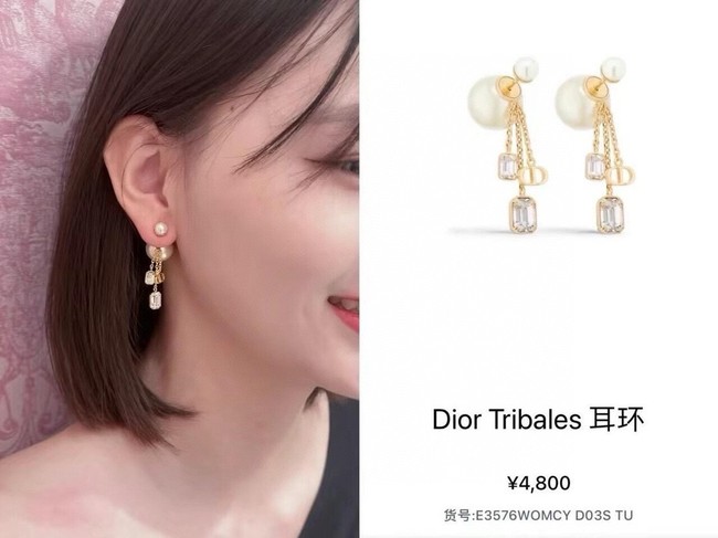 Dior Earring CE16364