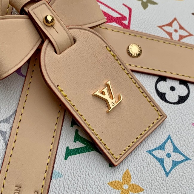 Louis Vuitton NEW LV x TM Dog Bag M13741 Multicolored