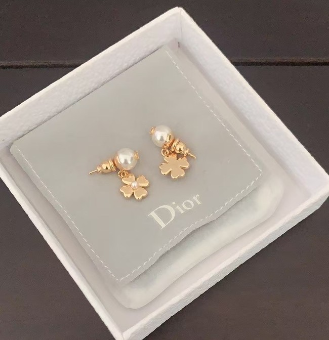 Dior Earring CE16527