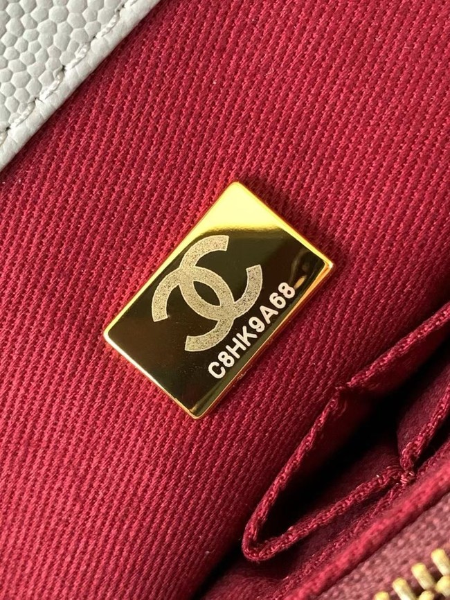 Chanel MINI FLAP BAG WITH TOP HANDLE AS2215-9