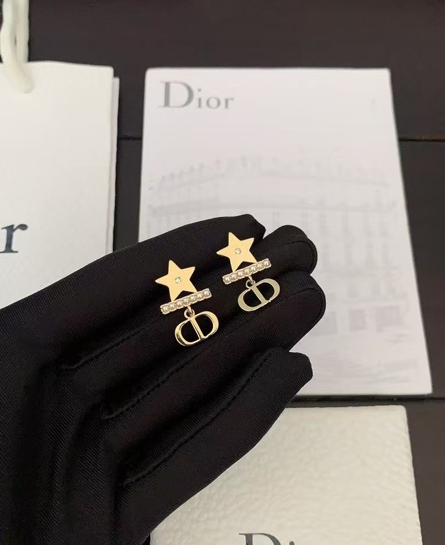 Dior Earring CE16626