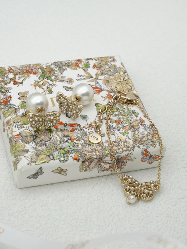 Dior Earring CE16653