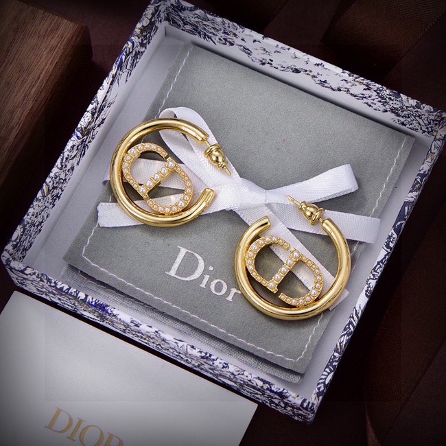 Dior Earring CE16724
