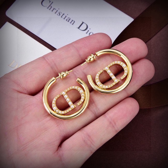 Dior Earring CE16724