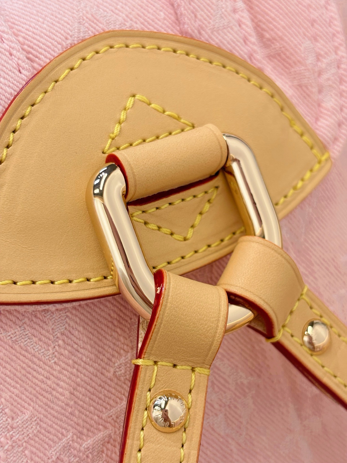 Louis Vuitton Backup M13031 pink