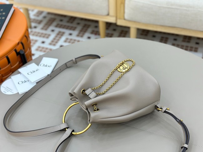 CHLOE leather shoulder bag 9965 gray
