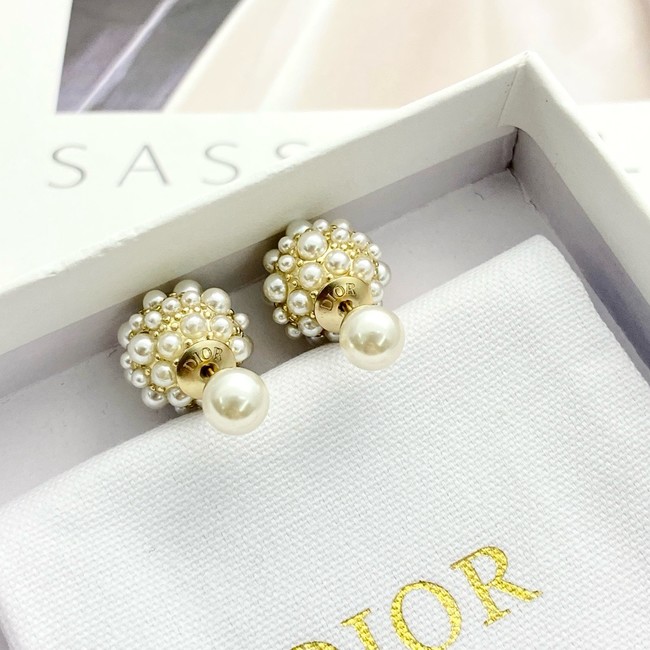 Dior Earring CE16841