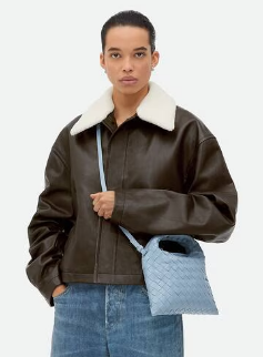 Bottega Veneta Mini Hop 777586 Ice