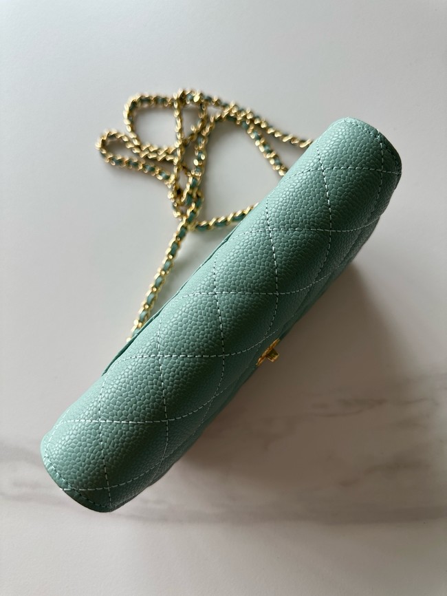 Chanel Classic Wallet On Chain Grained Calfskin AP4241-5