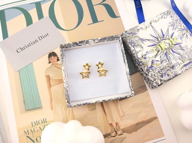 Dior Earring CE17006