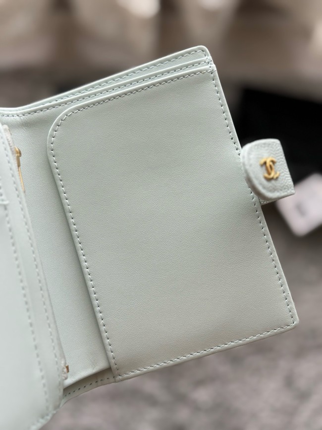Chanel Passport Holder 96066 light blue