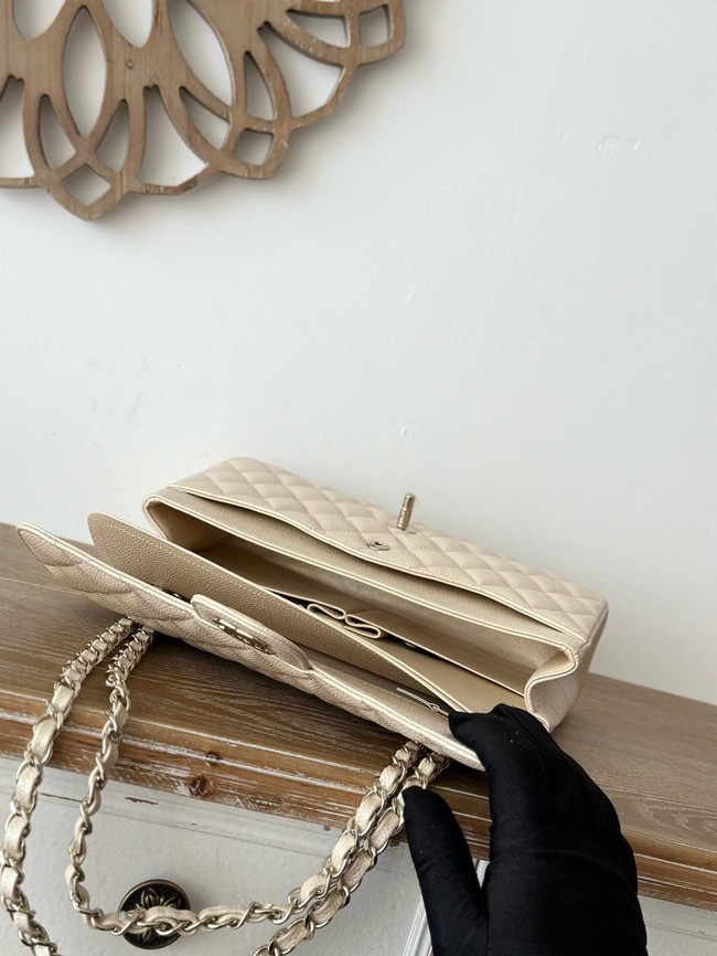 CHANEL Classic 11.12 handbag  A01112-3