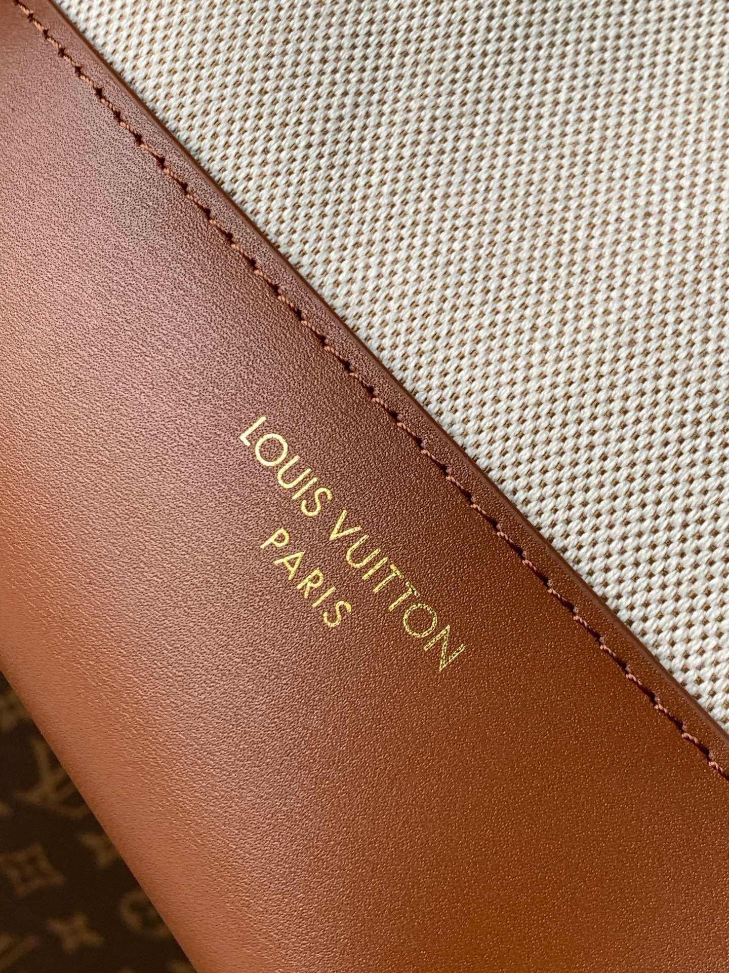 Louis Vuitton Low Key Hobo PM M25468 Brown