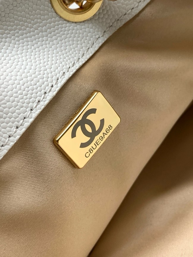 CHANEL 25 Medium Handbag AS5311 White