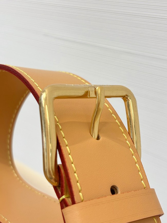 Louis VuittonRush Bumbag M15271 Brown