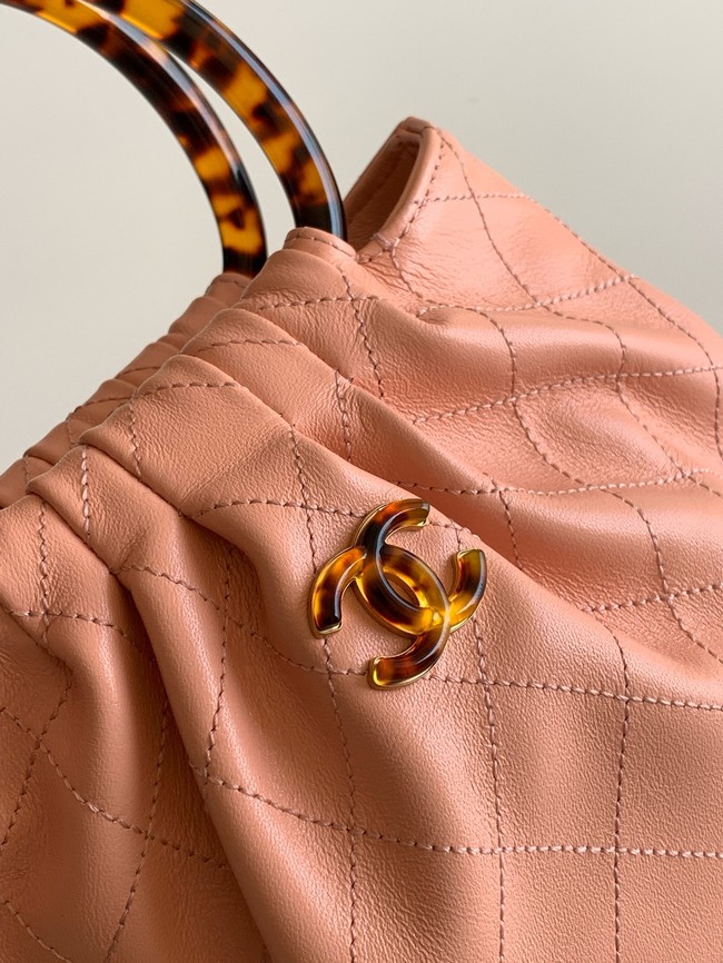 CHANEL Small Hobo Bag AS6022 pink