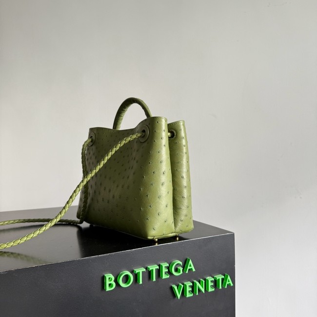 Bottega Veneta Small Andiamo 805231 Mud