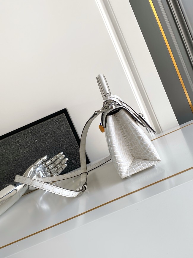 Louis Vuitton Calfskin M84713 light gray