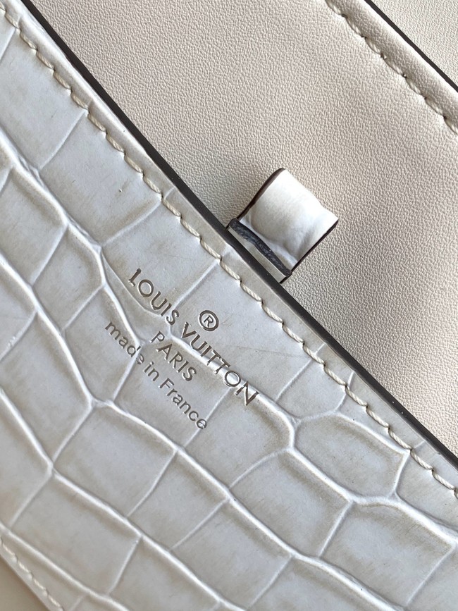 Louis Vuitton Calfskin M84713 light gray