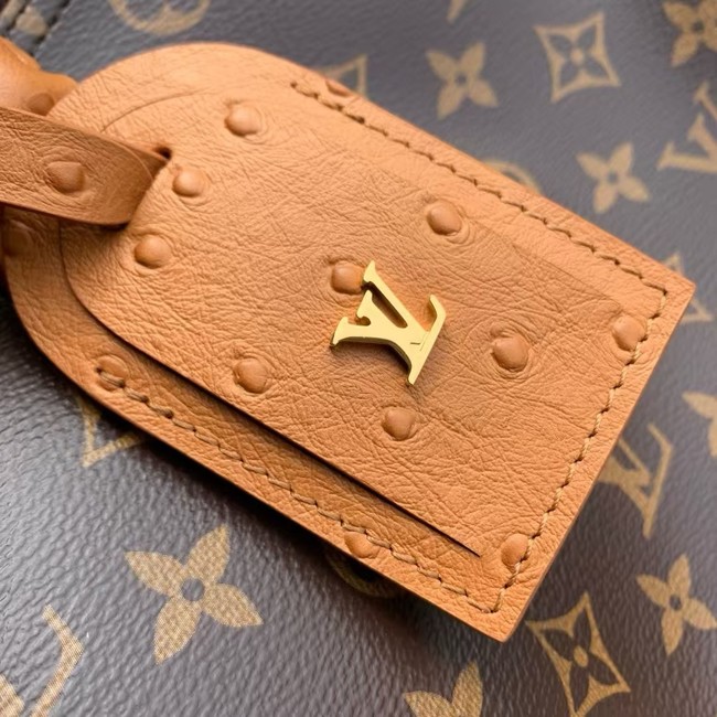 Louis Vuitton Speedy Soft 30 Boho N87212