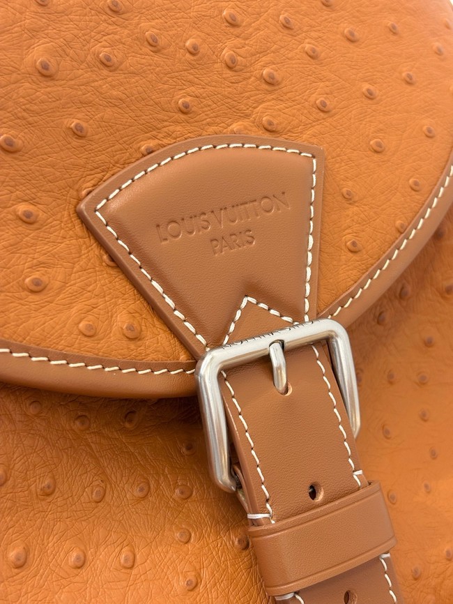 Louis Vuitton Backpack M89112 orange