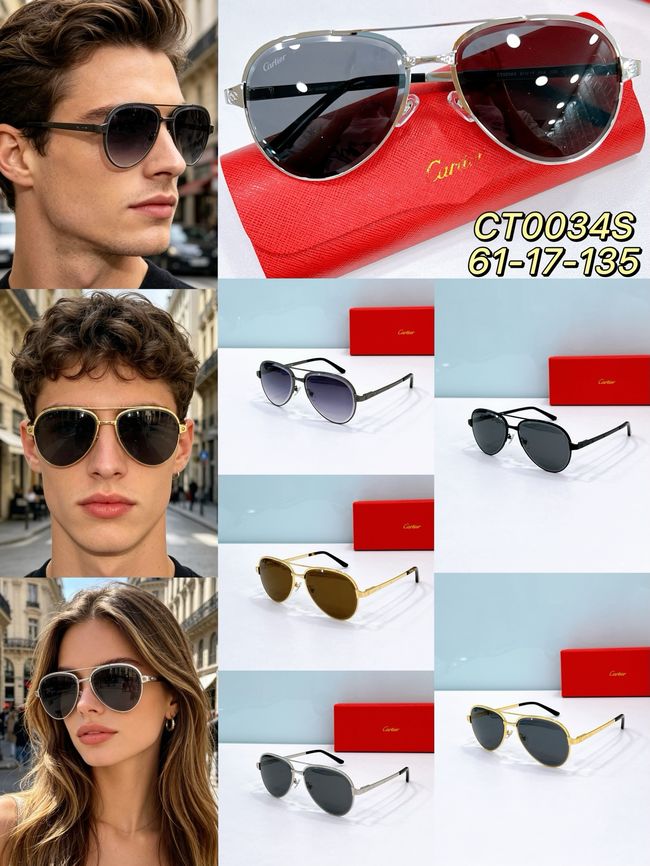 Cartier Sunglasses 821581-5 Cartier Sunglasses 821581-5
