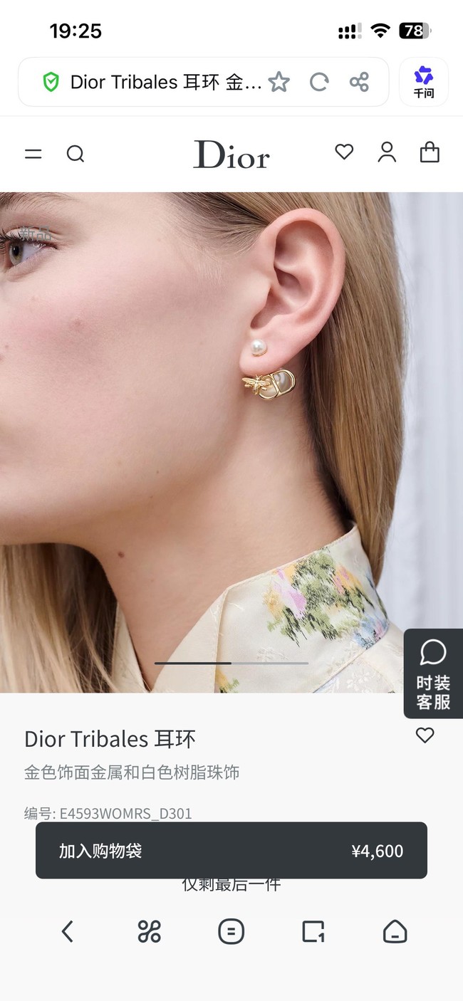 Dior Earrings CE89992 Dior Earrings CE89992