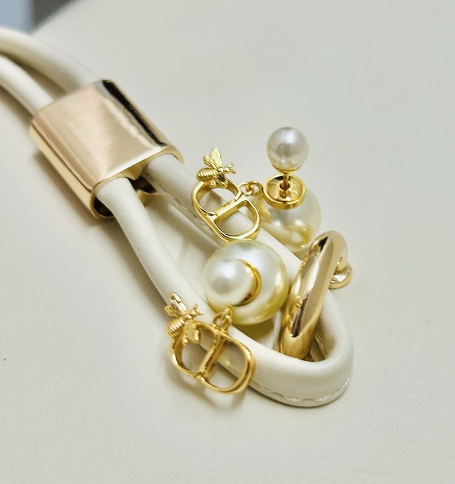 Dior Earrings CE89992 Dior Earrings CE89992