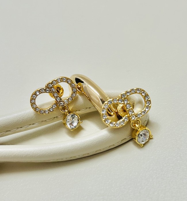 Dior Earrings CE89993 Dior Earrings CE89993